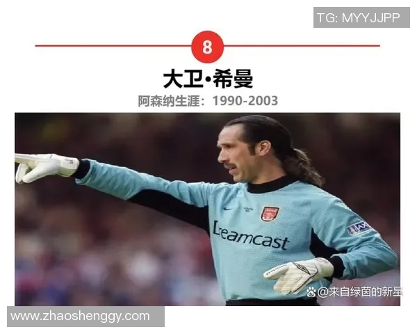 奋斗不息的足球巨星们他们如何从平凡走向伟大成就梦想的故事